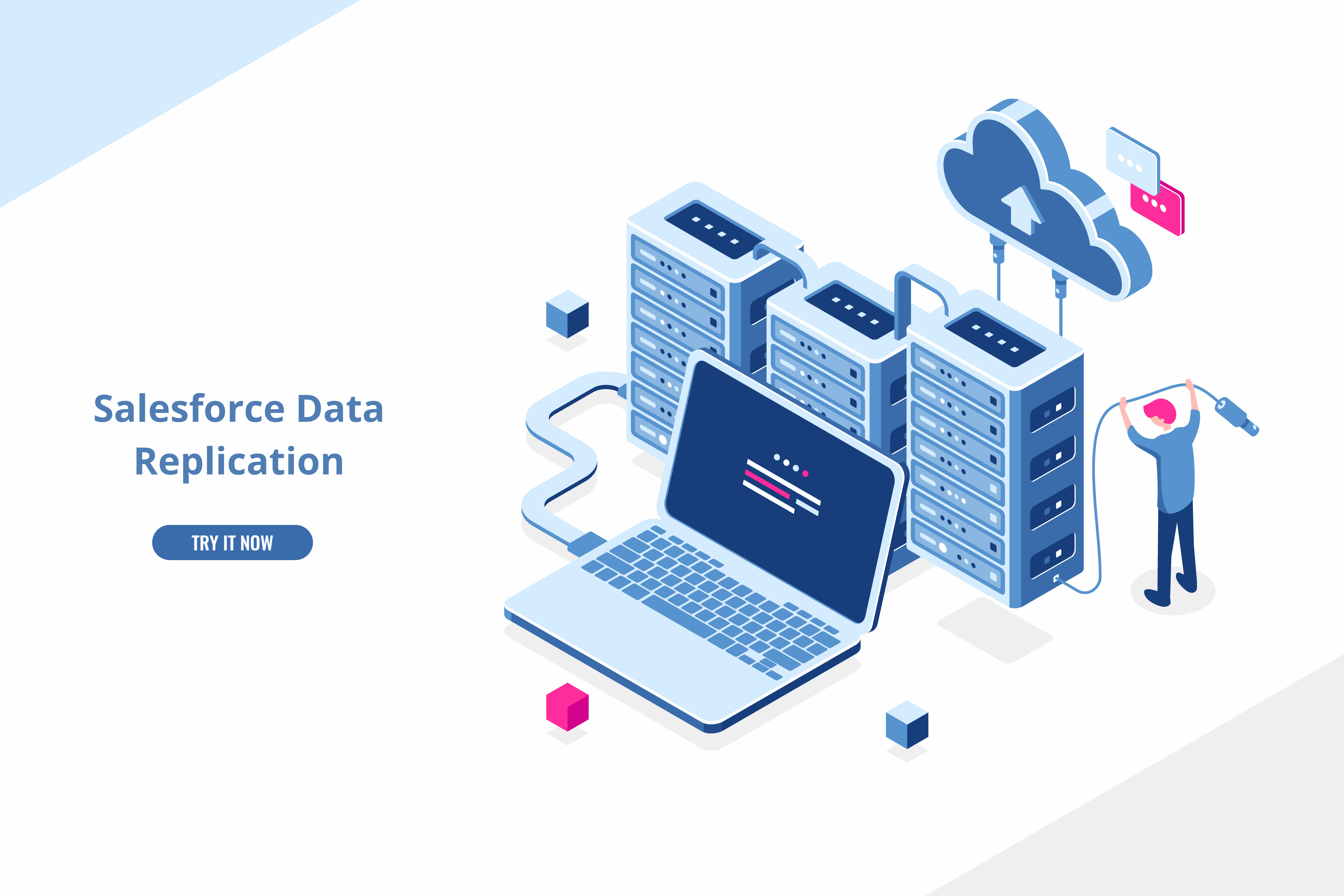 Salesforce Data Replication