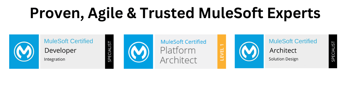 Proven, Agile & Trusted MuleSoft Experts (2) (1)