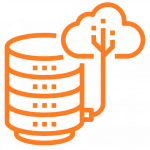 Data Warehouses Development